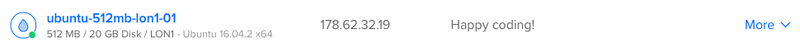 Digital Ocean Droplet Hostname Digital Ocean Droplet Hostname